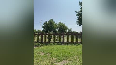 _molly_mae_ free recording from 2025-06-15 11:08:00