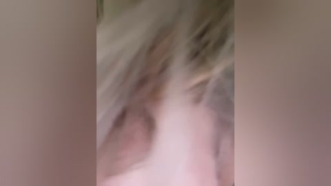 ellidi free recording from 