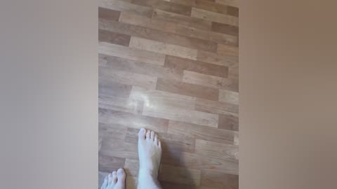 sexycouple69 free recording from 2025-06-17 15:04:00