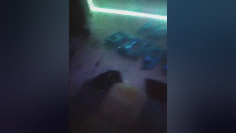 elena380 free recording from 2025-06-18 01:50:00