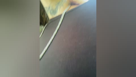 molly_and_ewa free recording from 2025-06-18 11:38:00