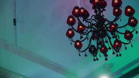 evafashionista free recording from 2025-06-20 05:28:00