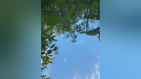 luckystar free recording from 2025-06-22 15:51:00