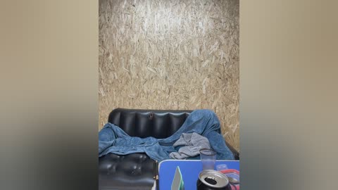 _breid_1 free recording from 2025-06-24 11:13:00