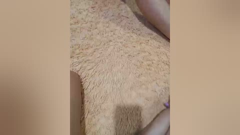 cottoncandy1_1 free recording from 