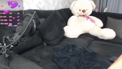 nicol free recording from 2025-06-24 07:51:00