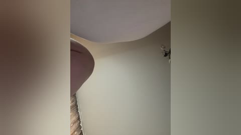 hellmor free recording from 2025-06-26 11:45:00