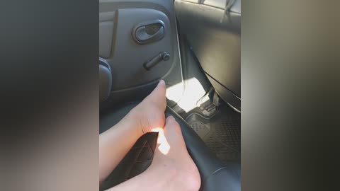 sindel_1_1 free recording from 2026-04-21 00:37:00