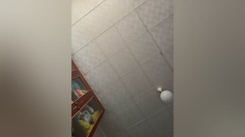 _molly_mae_ free recording from 