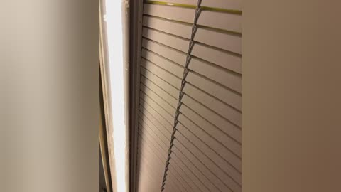 bulbushki1 free recording from 2026-04-14 02:03:00