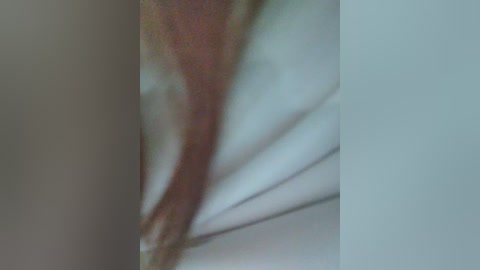 ivan_varvara free recording from 2025-06-27 09:15:00