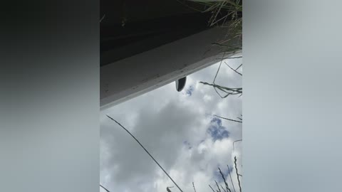 _molly_mae_ free recording from 2025-06-28 13:15:00