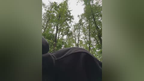 babydarii free recording from 