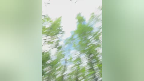 babydarii free recording from 2025-06-29 15:01:00