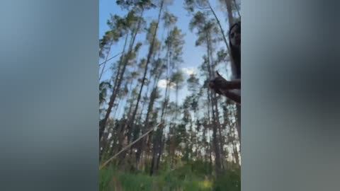 alizii free recording from 2025-07-01 16:21:00