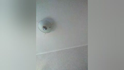 annaartem free recording from 2025-07-01 03:21:00