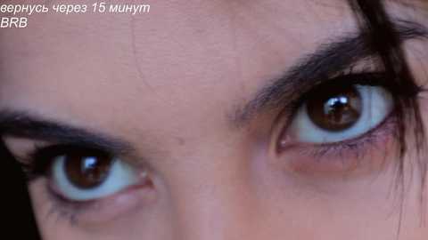 _catt_ free recording from 2025-07-02 11:52:00