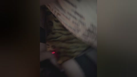 fierynight77 free recording from 2025-07-02 05:58:00