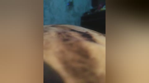 elena380 free recording from 2025-07-03 02:27:00