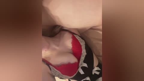 essss33331 free recording from 2025-07-05 00:59:00