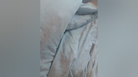 parakaili free recording from 2026-04-21 00:14:00