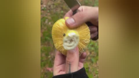 sexform0ney free recording from 2026-04-03 02:52:00