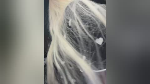 sexform0ney free recording from 2026-04-03 02:52:00