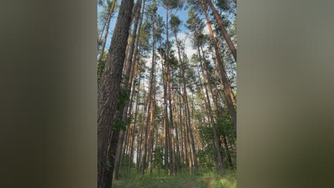 alizii free recording from 2025-07-10 15:33:00