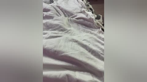 millemimi free recording from 2025-07-10 20:58:00