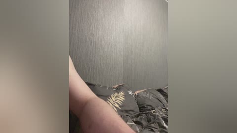 achilessynpilea free recording from 2025-07-12 18:03:00