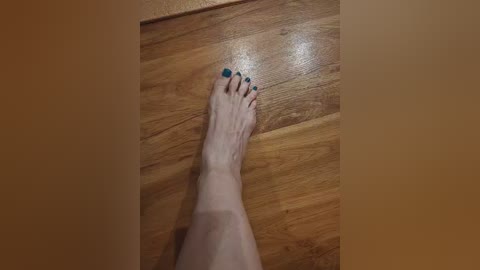 alexsofia666 free recording from 2026-04-14 07:06:00