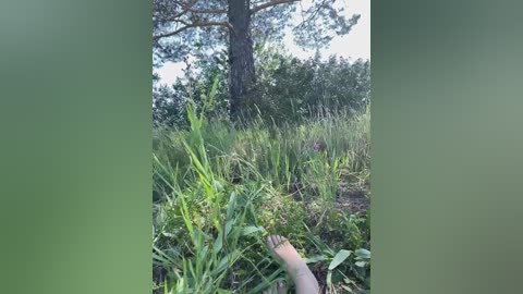 sexy6969 free recording from 2025-07-12 03:24:00