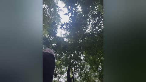 vibromashulkadashulka free recording from 2025-07-12 01:24:00