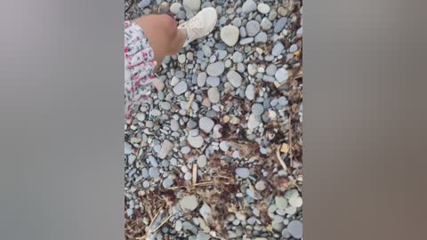 daddysgirl9 free recording from 2025-07-13 03:51:00