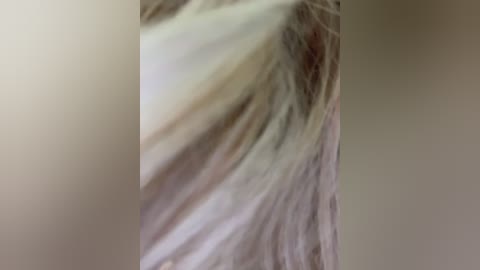 ellidi free recording from 2025-07-13 07:50:00