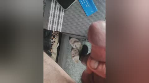 gumalis13 free recording from 2025-07-13 03:55:00