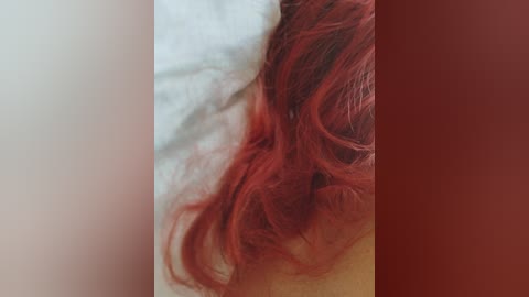 super_couple free recording from 2025-07-13 02:27:00