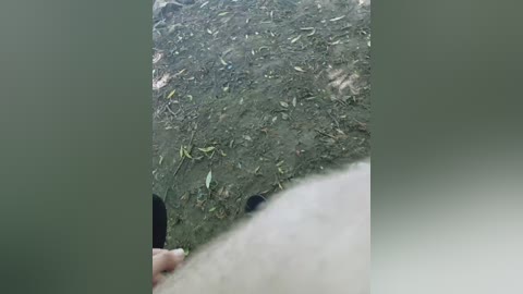 honeykj free recording from 2025-07-14 09:56:00