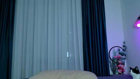 brenda_m00n free recording from 2025-07-15 17:57:00