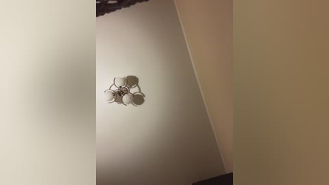 pussydollnet free recording from 2025-07-16 22:19:00