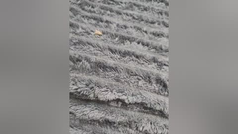 gumalis13 free recording from 2025-07-17 15:21:00