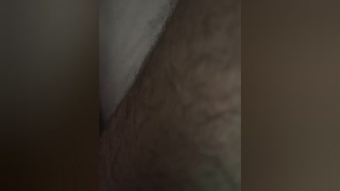 julliylittle011 free recording from 2025-07-19 19:29:00