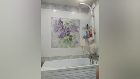 bonitastar free recording from 2026-04-03 02:52:00