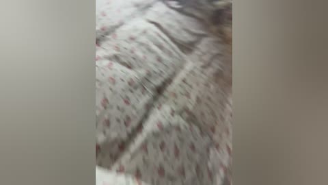 boni_and_clyde free recording from 2026-04-14 02:03:00