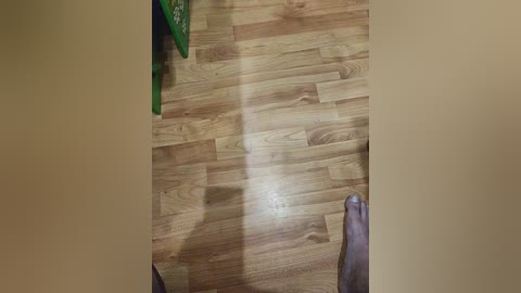 mikamir free recording from 2026-04-25 00:38:00