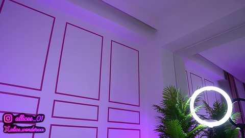 vanesasimon free recording from 2025-07-21 12:15:00