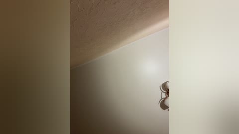 pussydollnet free recording from 2025-07-23 18:48:00