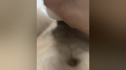 sexmen101 free recording from 2026-04-07 03:00:00