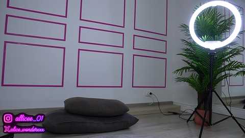 vanesasimon free recording from 2025-07-23 08:03:00