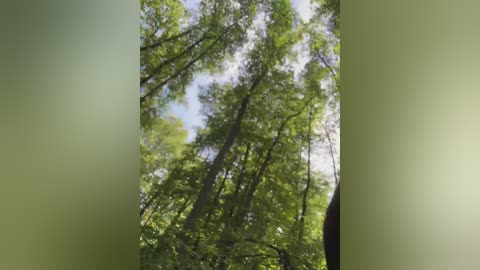 babydarii free recording from 2025-07-24 13:38:00